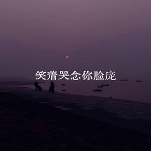 笑着哭念你脸庞