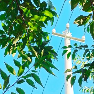 人生的主旋律是遗憾