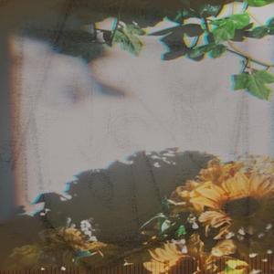 blooming