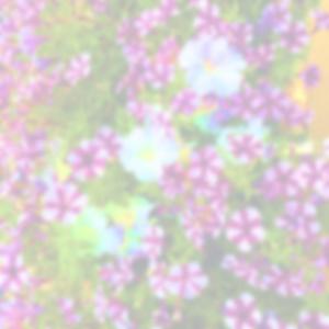 I LOVE YOU SO VERY MUCH