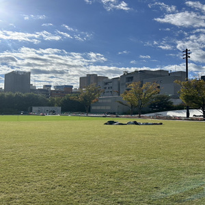 弱さから生じるもの、全て