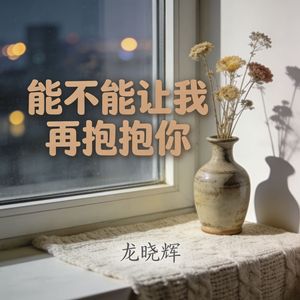 能不能让我再抱抱你(伴奏)