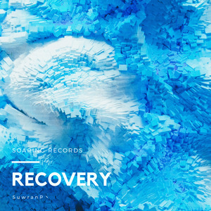 Recovery