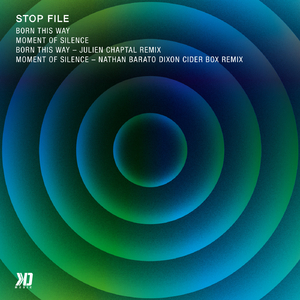 Born This Way (Original Mix)