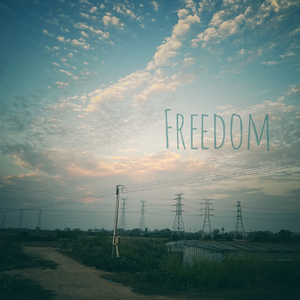 我想要自由不要fancy world