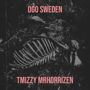 Ogo Sweden