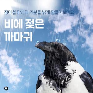 새벽을 가리키는 몸짓