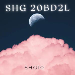 SHG 20BD2L