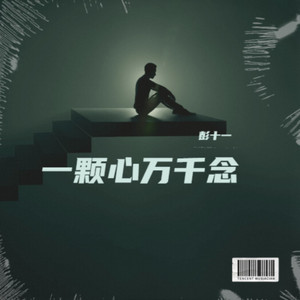 一颗心万千念
