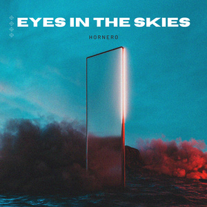 Eyes in the skies