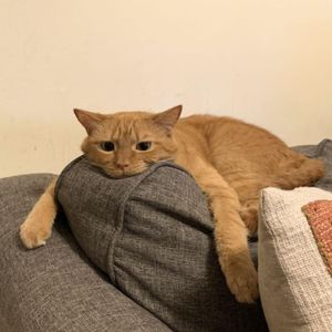 อยู่คนเดียวดีกว่าไม่เห็นจะเป็นอะไร