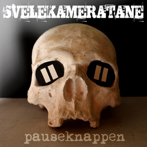 Pauseknappen