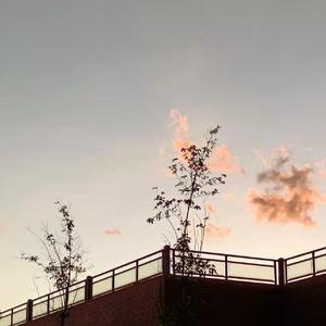 人云（Feat Lil-Xiao Prod by費奈爾蘭德)