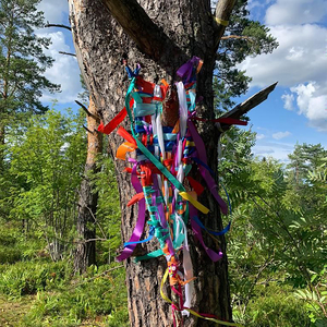 Шаманский путь