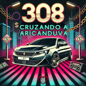 308 Cruzando a Aricanduva