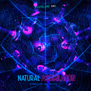 New Realm (Original Mix)