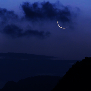 他们总是寻找我心里的秘密