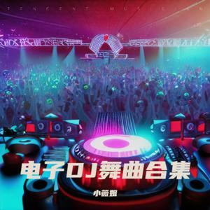 想你的时候问月亮 (翻奏: 佳瑾|舞曲版)