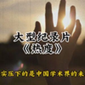 大型纪录片《热度》