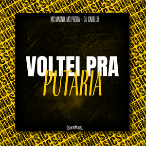 Voltei pra Putaria