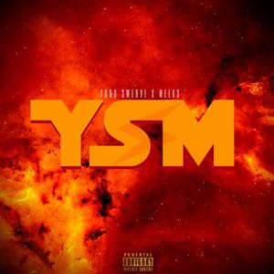 YSM (feat. Meeks)
