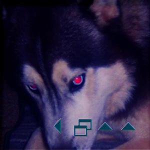 Mi perro eL psicópata