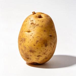 爸爸妈妈(土豆biabiamiamia)(Y Remix)