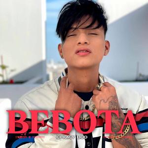 Bebota