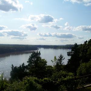 Pain (feat. Straightdrop5k)