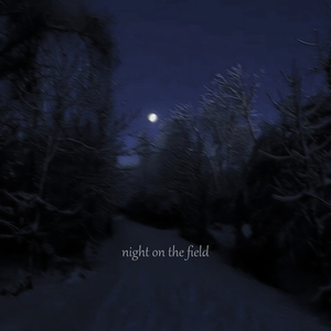 Night on the Field