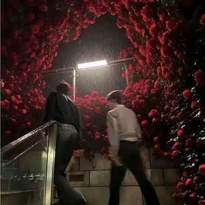 film白夜（雷朋）