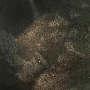 from above :/
