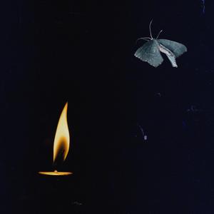 Wasted Promises (feat. Kellii Scott)