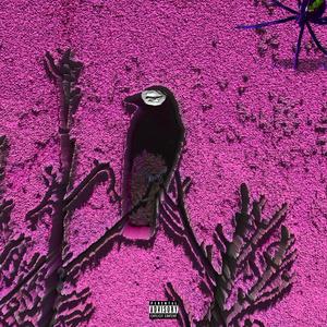 CAN YOU NOT (feat. Asendo)