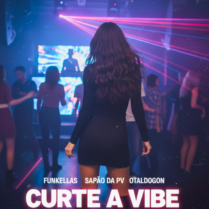 CURTE A VIBE