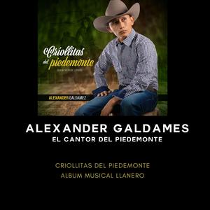 Getica E Madroño Gecho