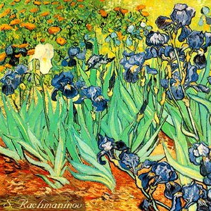 14 Songs, Op. 34:No. 14, Vocalise in C-Sharp Minor (Arr. V. Kin for Orchestra)