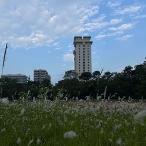 那些星星（demo）