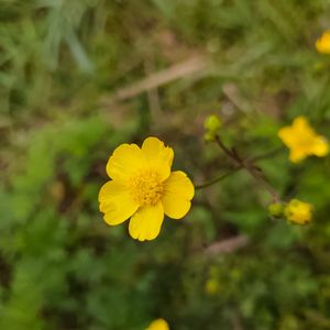 飞起来跳进山海里的金水河