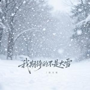 我期待的不是大雪