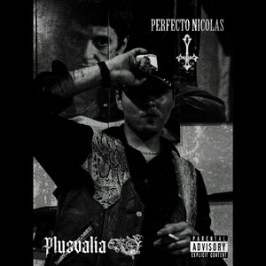 Plusvalía