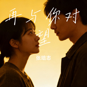 再与你对望