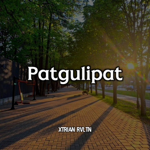Patgulipat