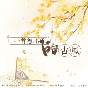 一首想不通的古风
