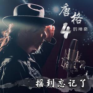 家乡的老酒 (慢摇版)