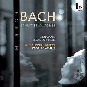 Ich habe genug, BWV 82:Recitative: Ich habe genug! Mein Trost ist nur allein