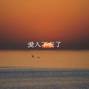 爱人不在了
