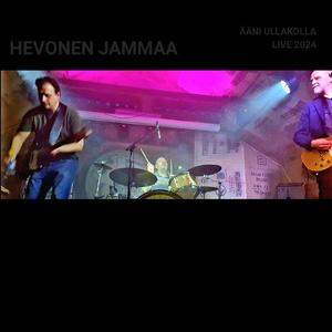 Sammaleet (ÄÄNI ULLAKOLLA LIVE 2024)