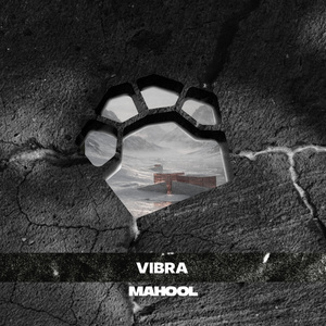 Vibra