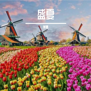 盛夏